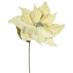 22 Inch Velvety Champagne Poinsettia - 12 Inch Flower: Set Of 6