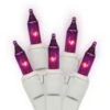 46 Foot 100 Mini-light Strand With 5.5 Inch Spacing On White Wire: Purple All-Lit