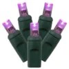 36 Foot Wide Angle LED Lights With 4 Inch Spacing On Green Wire: Purple