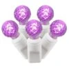 34 Foot G12 Berry LED White Light Strand - 4 Inch Spacing: Purple Lights