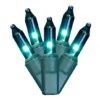 23 Foot 50 Dura-lit Strand With 5.5 Inch Spacing On Green Wire: Teal